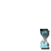 Support WikiLeaks