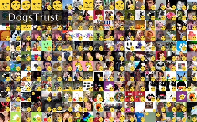 DogsTrust Twibute 250