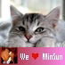 meow13