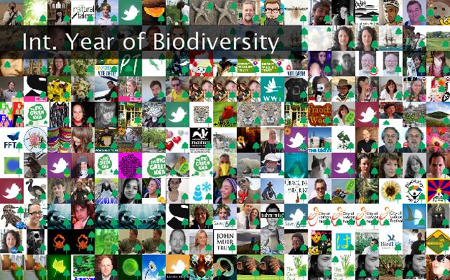 Int. Year of Biodiversity Twibute 250