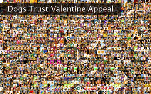 Dogs Trust Valentine Appeal Twibute 2500