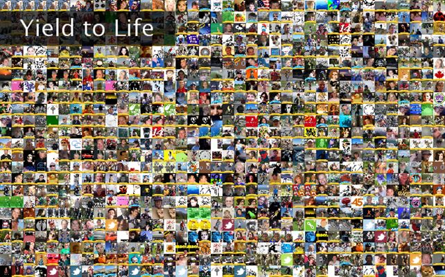 Yield to Life Twibute 1000