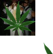 yung_mizzo