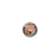 Party Dog
