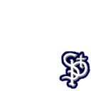St. Paul Saints