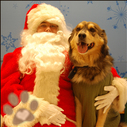 RescueAnimals