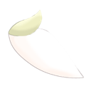 ushimimi_r