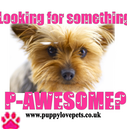 puppy_love_pets