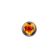 TSS 3