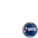 Global Corporate Challenge