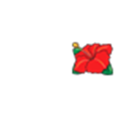 king-haibi flower(right)