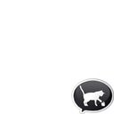 iOSDevCat