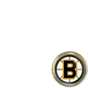 Boston Bruins