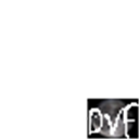 #DVisionsFamily