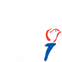 Bevrijdingsfestival Nijmegen