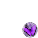 Living with Lupus