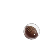 asdsad