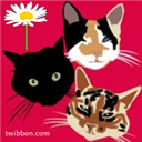 cooperscats
