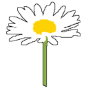 LoveForDaisy