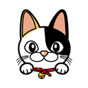 I like EDO 03