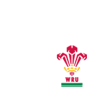 RBS 6 Nations - Wales