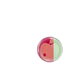 Bowel Cancer Australia