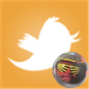 ANNWRESTLINGFAN
