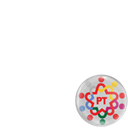 MAV-PTSP