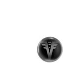 VICE