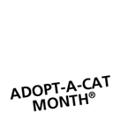 Adopt-A-Cat Month