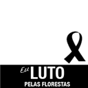 #LutoPelasFlorestas