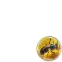test re sharing