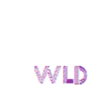 wonderland