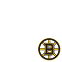 Boston Bruins