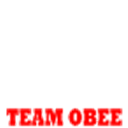 Team OBee