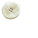 LADY GAGA Button hair