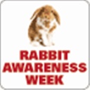 Rabbit Awareness Week
