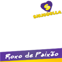 Roxo pelo Sirigüella