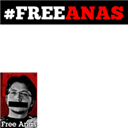 Free Anas Maarawi