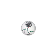Black Roses