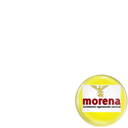 #morena