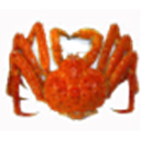 kanininaritai