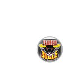 Bradford Bulls