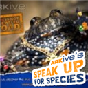 Ark Ive