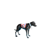SANE: Black Dog Campaign
