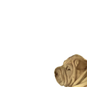 BIGBANG - Big Bang - Gaho