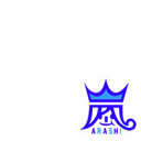 ARASHI  2011-2012 blue rogo
