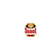 FCseoul mini