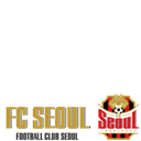 fcseoul mini