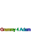 3 Grammy 4 Adam Lambert